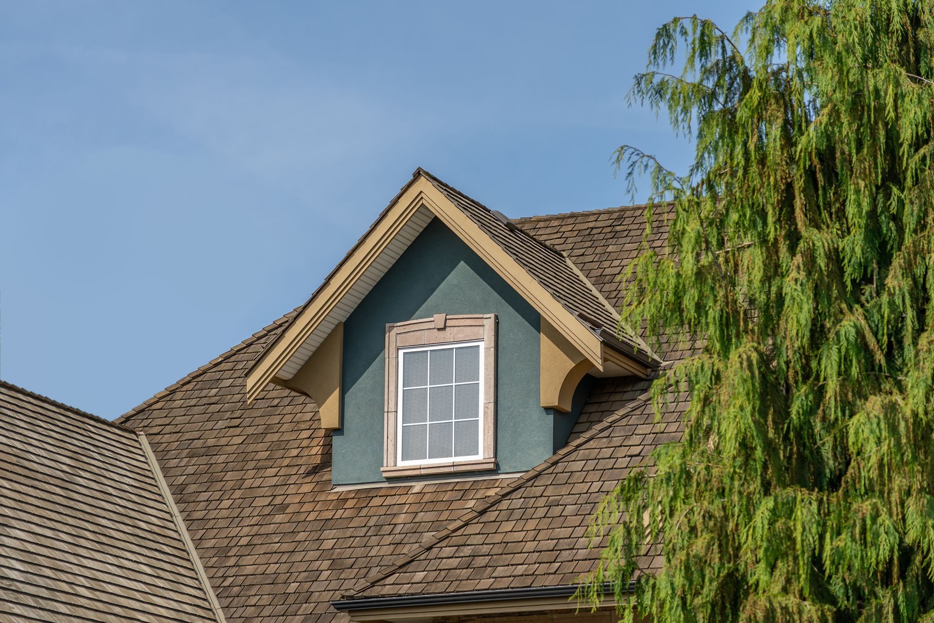 Dormer window on a brown shingled roof, blue wall, tan trim, white window, green tree, and blue sky.