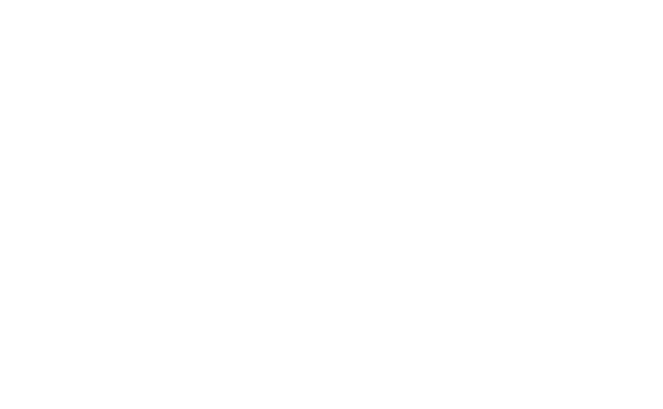 Alpstein Naturmedizin Logo gross