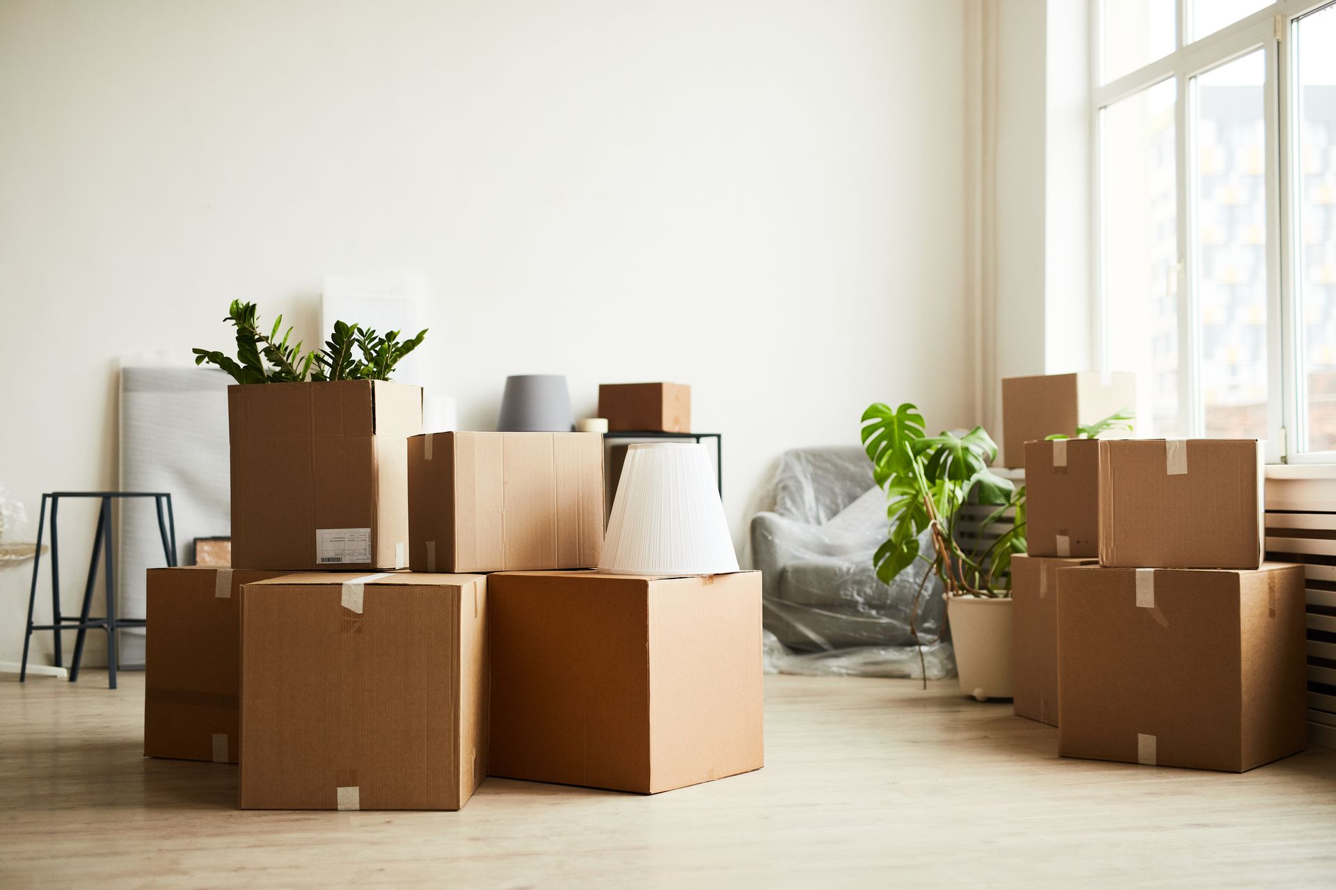 Boxes stacked in a room, ready to be moved. Plant, chair, and window are also in the room.