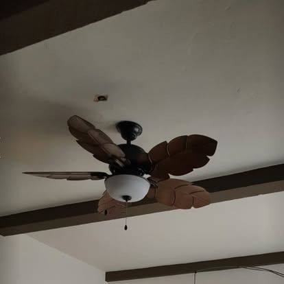 A ceiling fan with dark, palm-leaf shaped blades and a central glass light fixture, mounted between two ceiling beams.