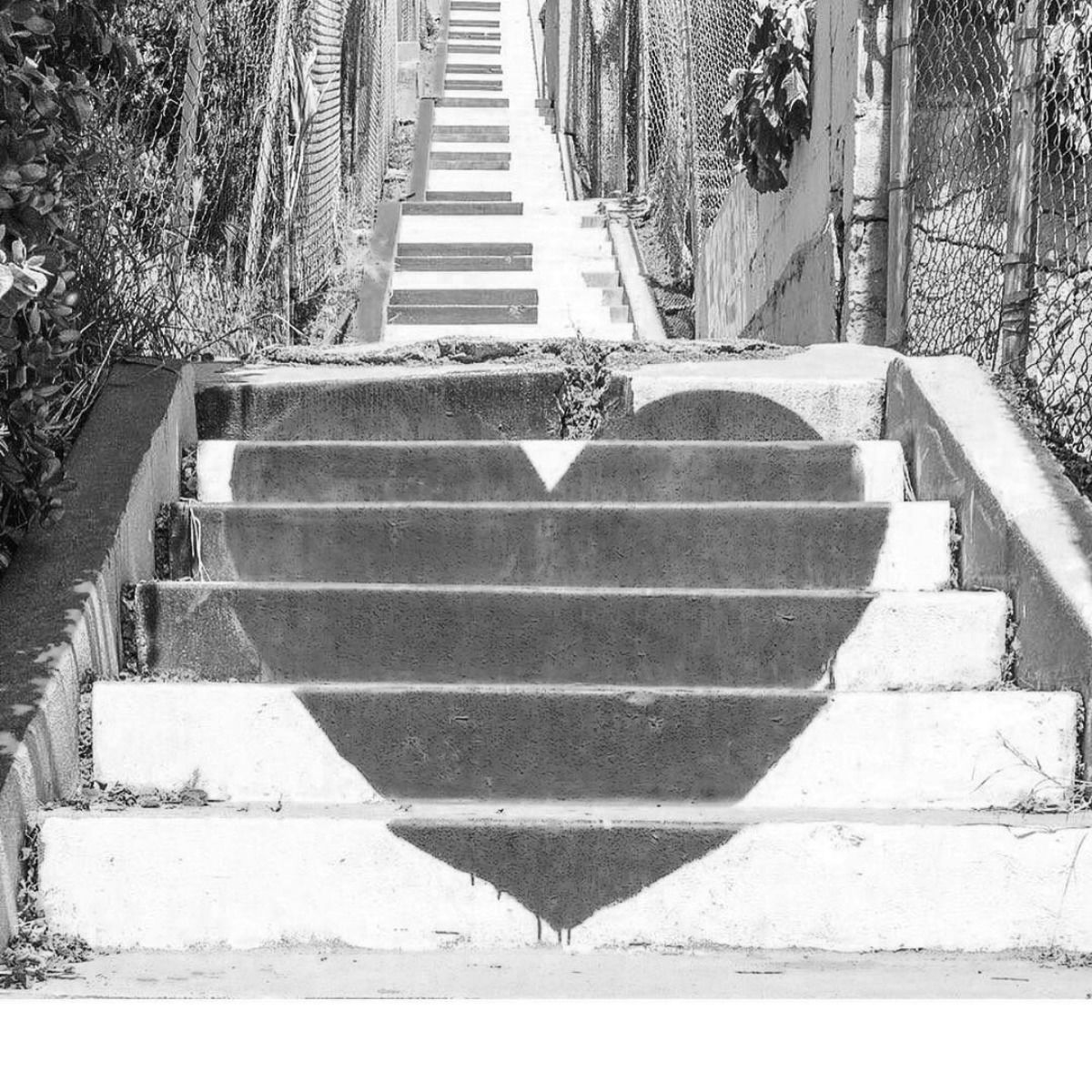 Black and white photograph of outdoor stairs. A heart-shaped shadow is cast across the steps.