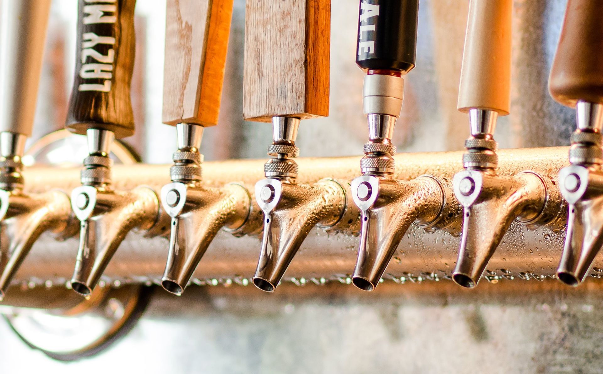 craft beers craft beers