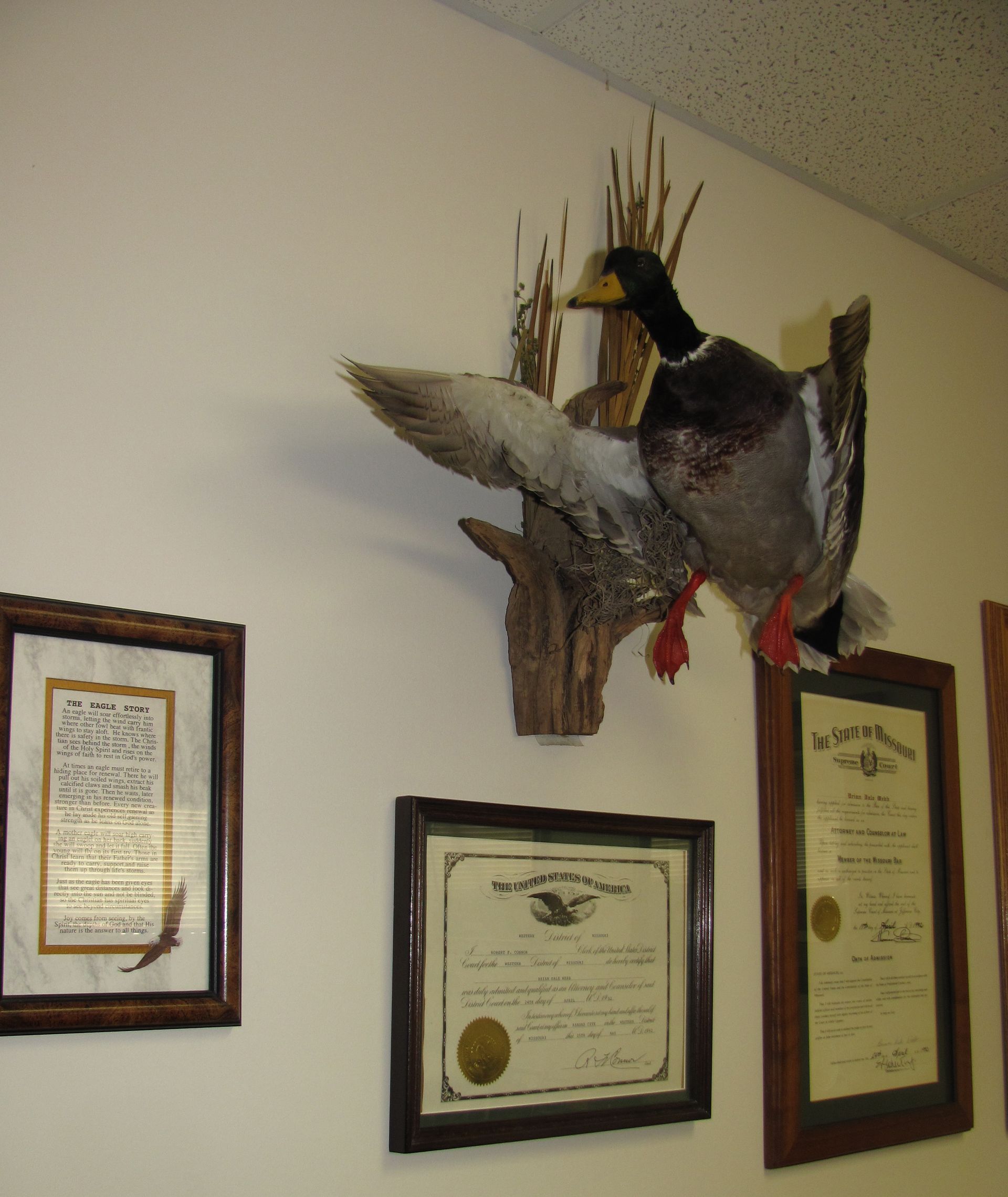 Law Office of Brian D Webb office Image