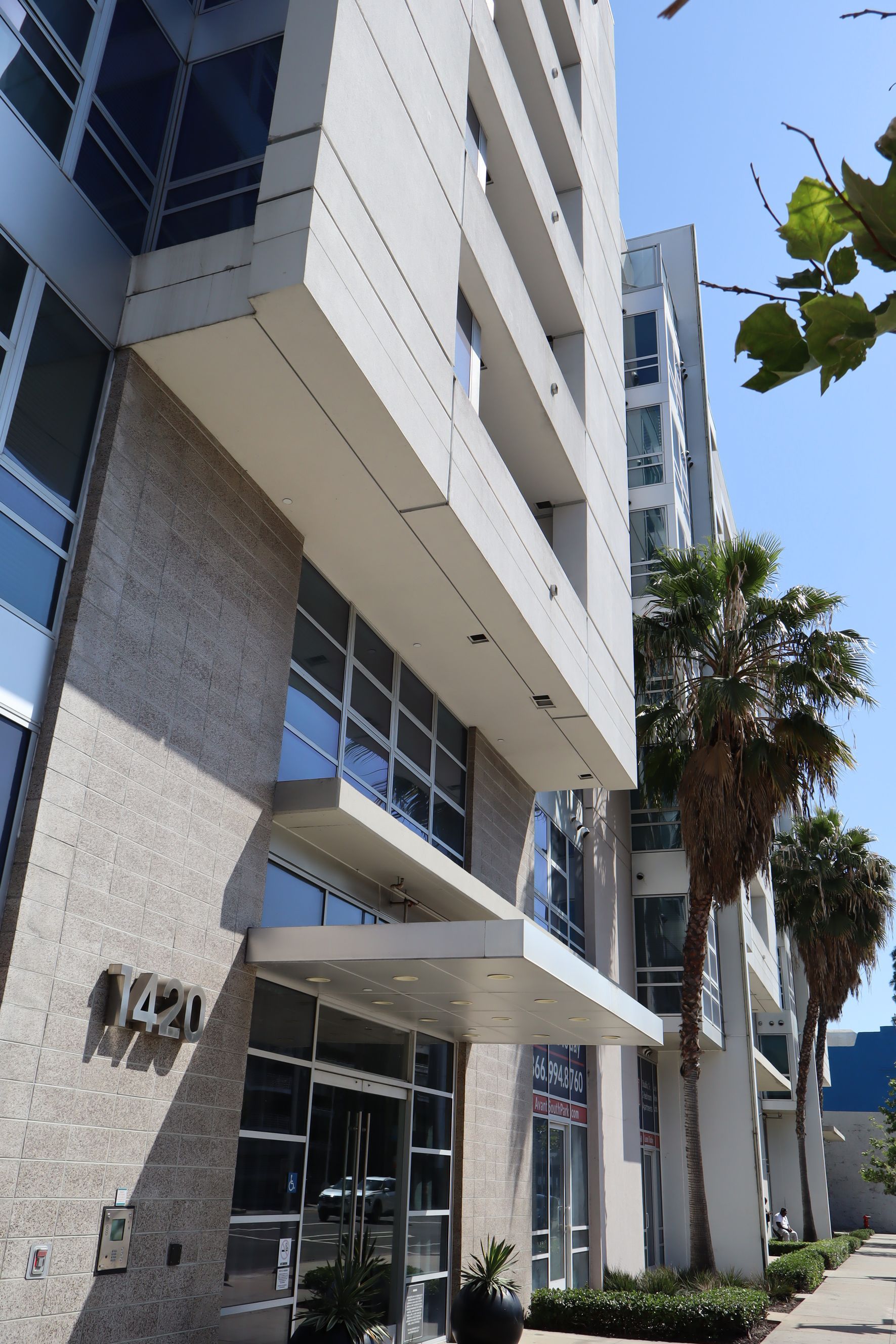 Modern white office building entrance with glass doors, brick accents, and palm trees along the sidewalk