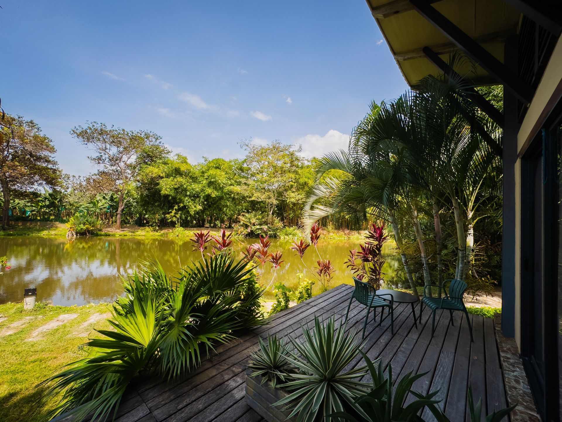 Wooden deck overlooking a pond with lush greenery and a blue sky.
