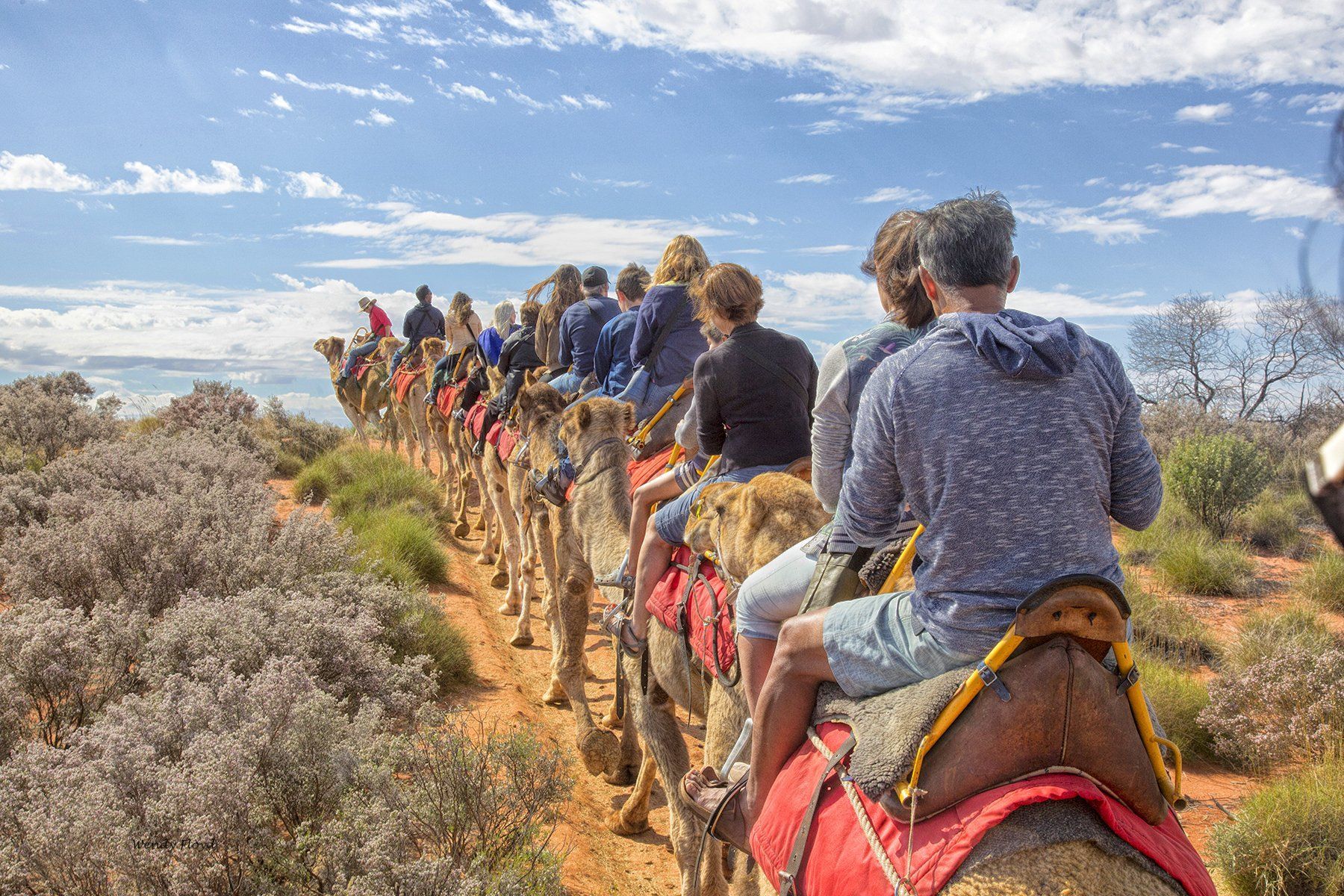 A group of people are riding camels in the desert.