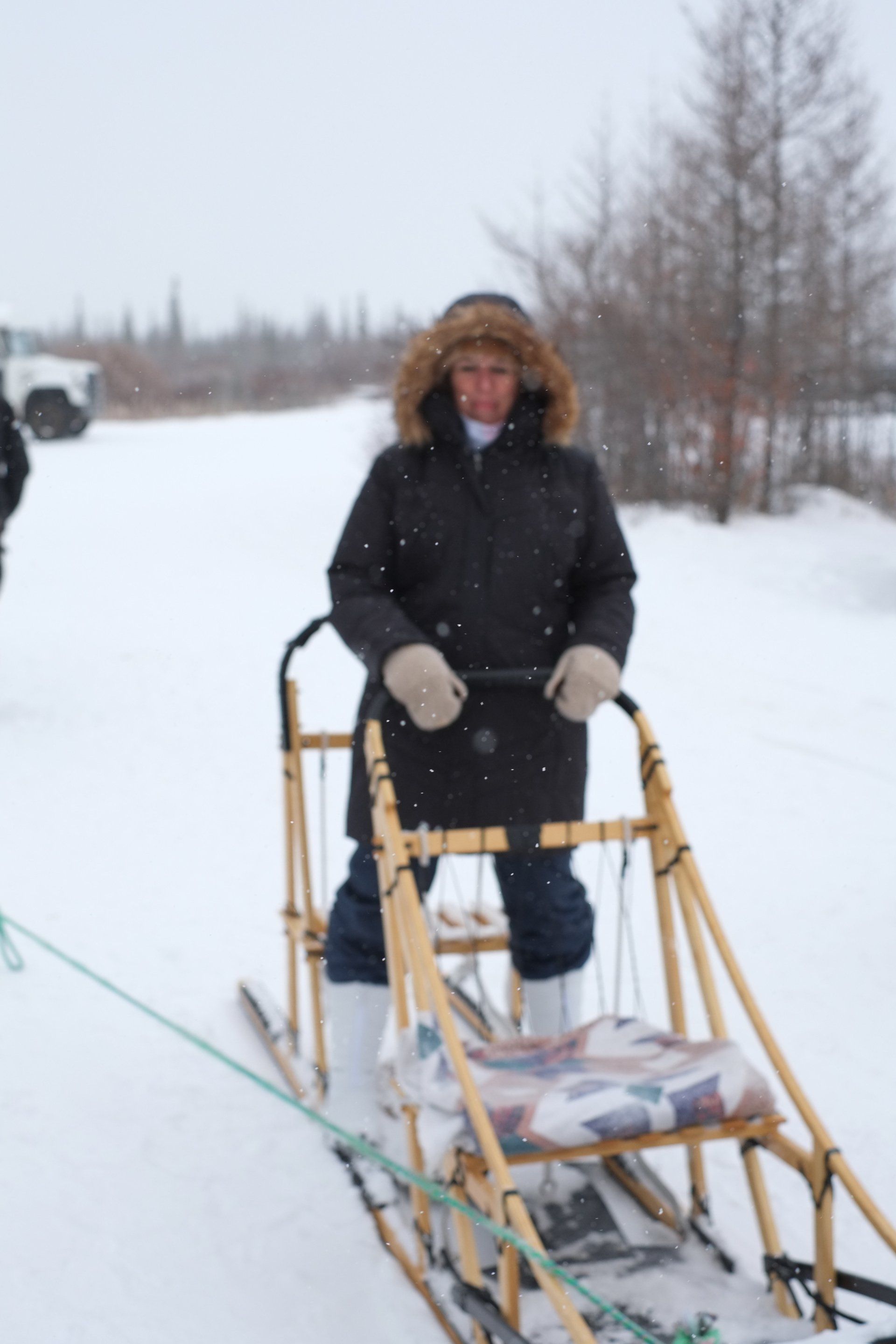 Canada, Churchill Manitoba, dog mushing