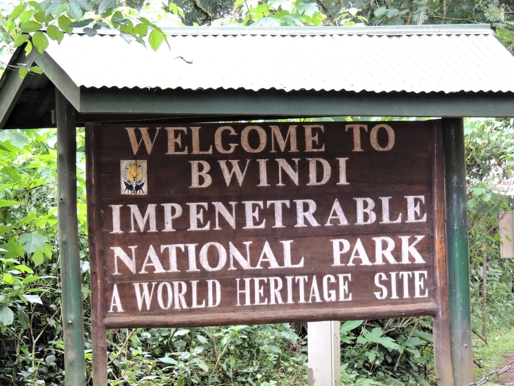 Uganda, Gorilla trekking, Bwindi Impenetrable Forest