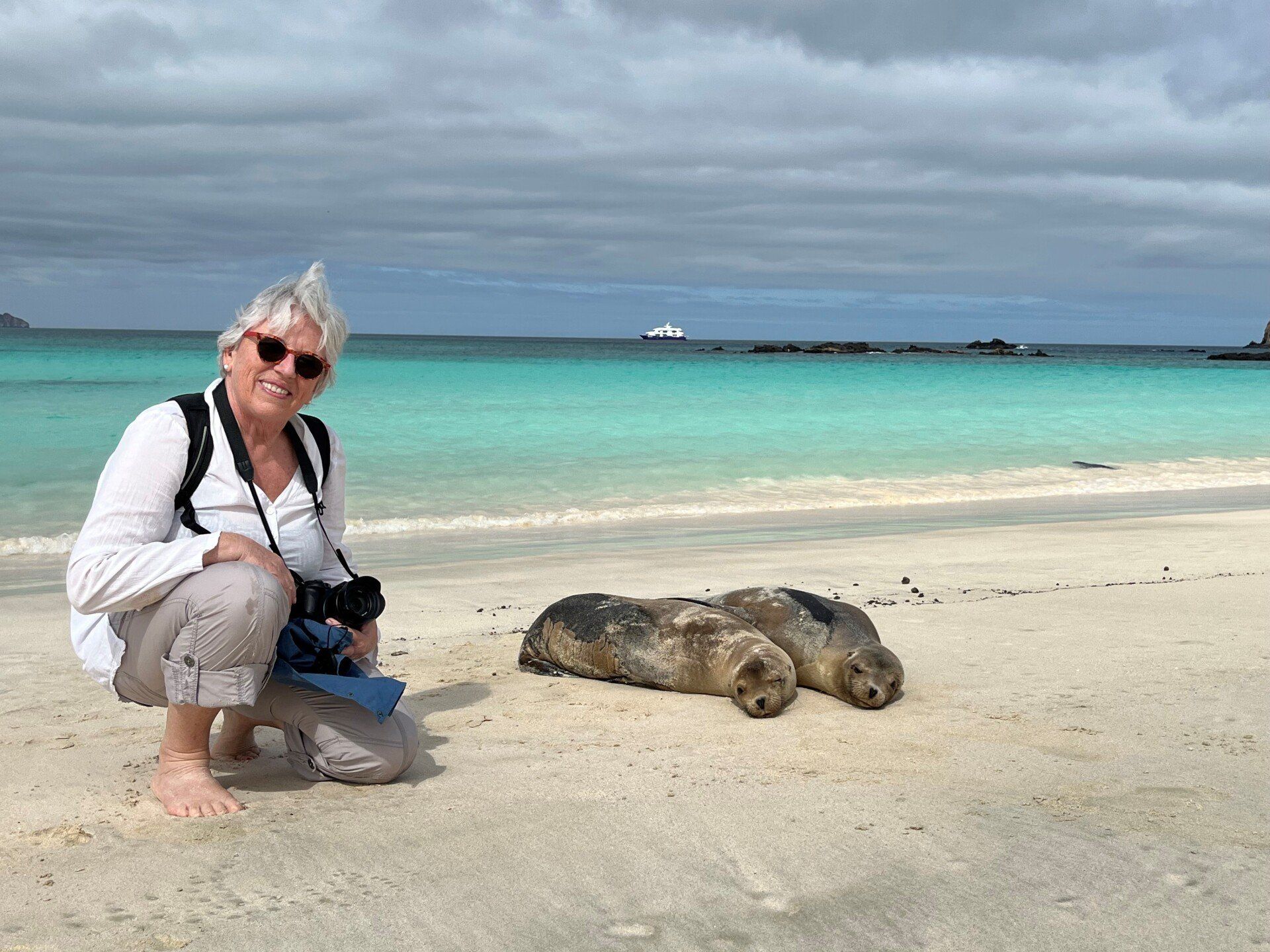 Galapagos cruise, Tower Island, sea lions