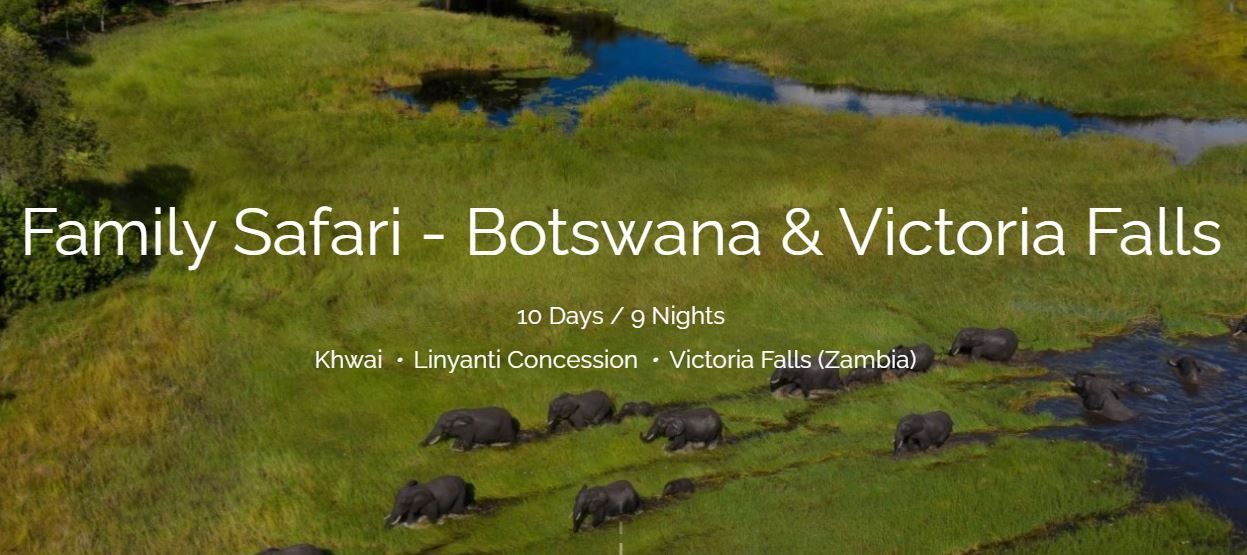 Family African Safari, Botswana, Victoria Falls, multi-gen travel