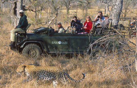 Kruger Park, Lebombo, Leopard