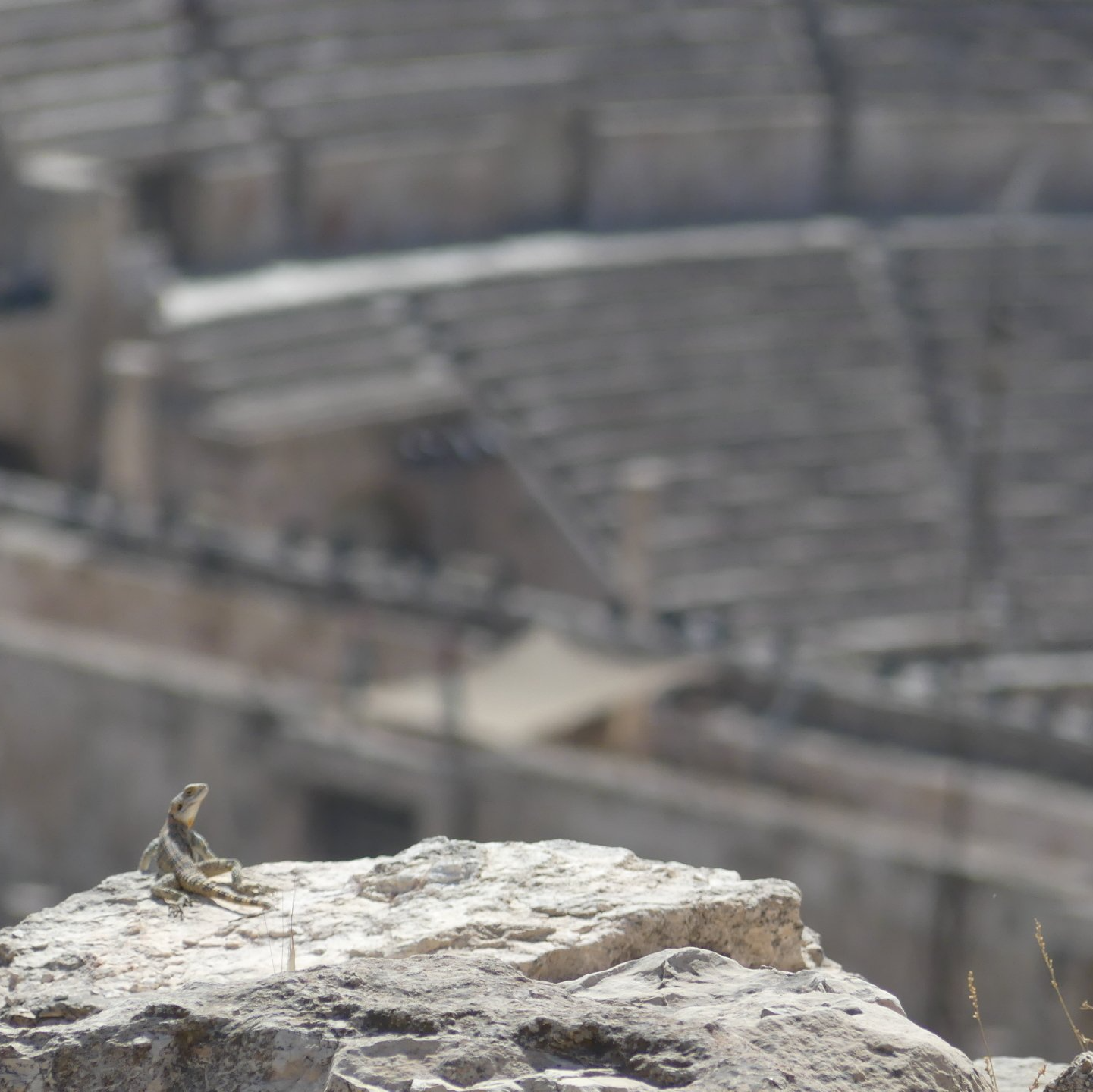 Amman, Roman amphitheater