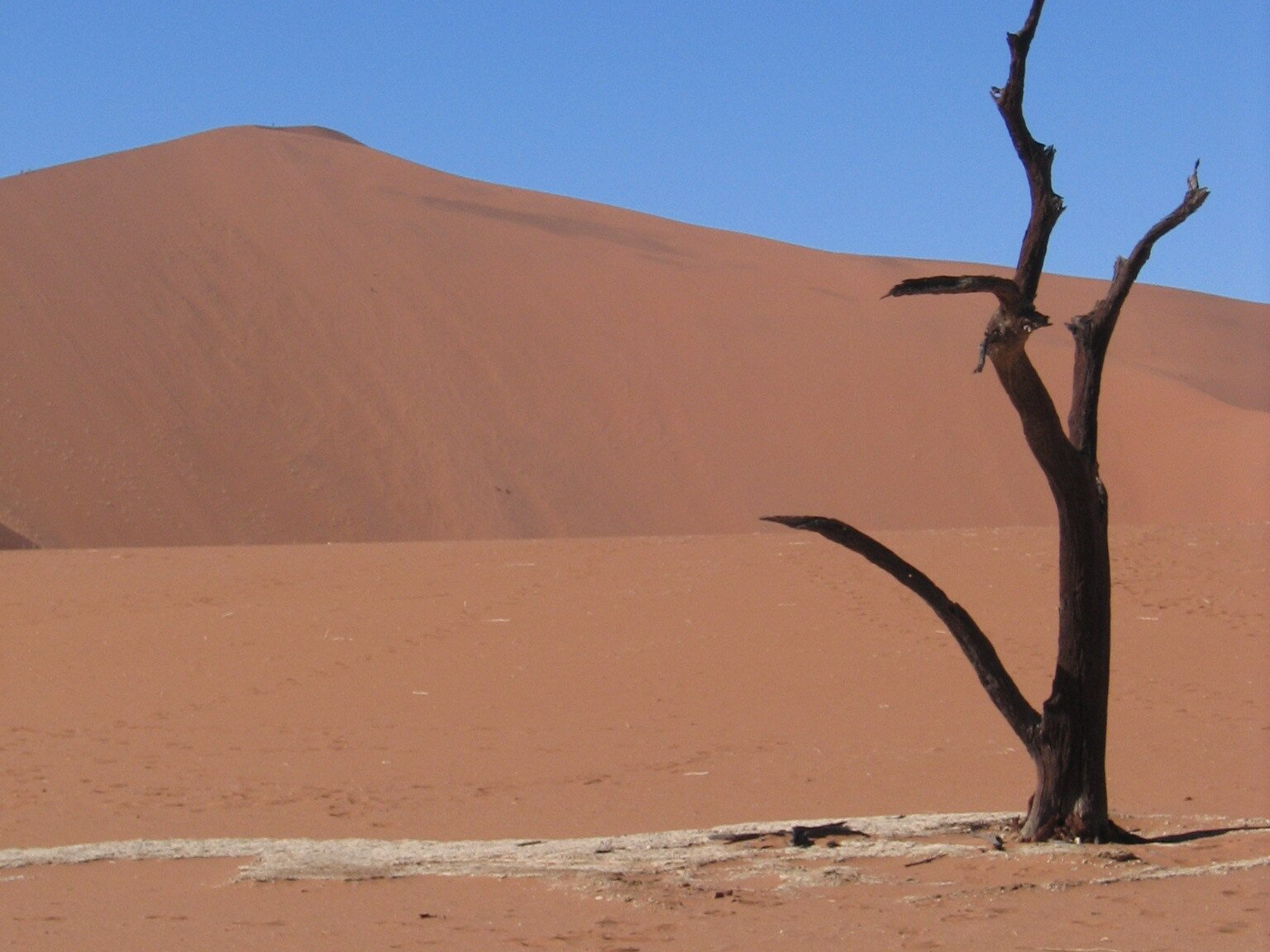 Namibia Safari, Sossusvlei Dunes