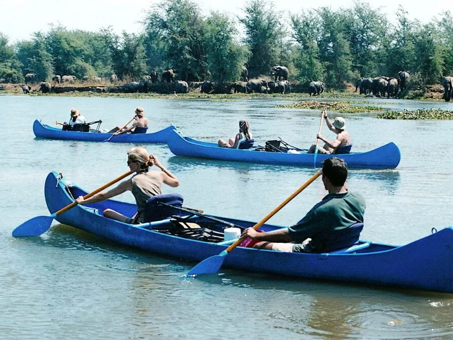 Zambezi Canoe Safari, Zimbabwe