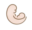 Embryo in een gebogen positie, lichtroze met bruine omtrek.