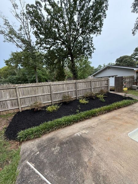 Black mulch bed in front of a wooden fence, with green plants. Gray concrete patio in foreground.