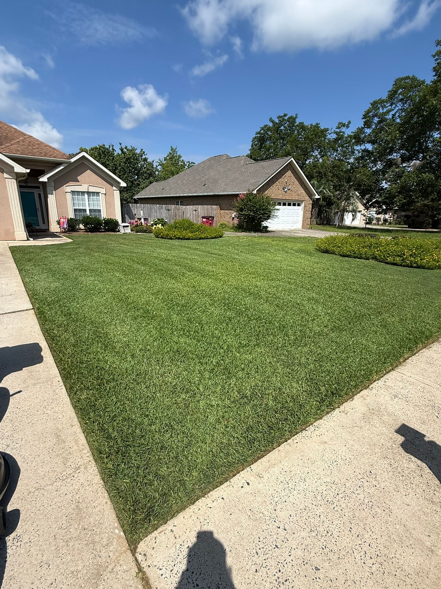 Well-manicured green lawn in front of two beige houses on a sunny day with a blue sky.