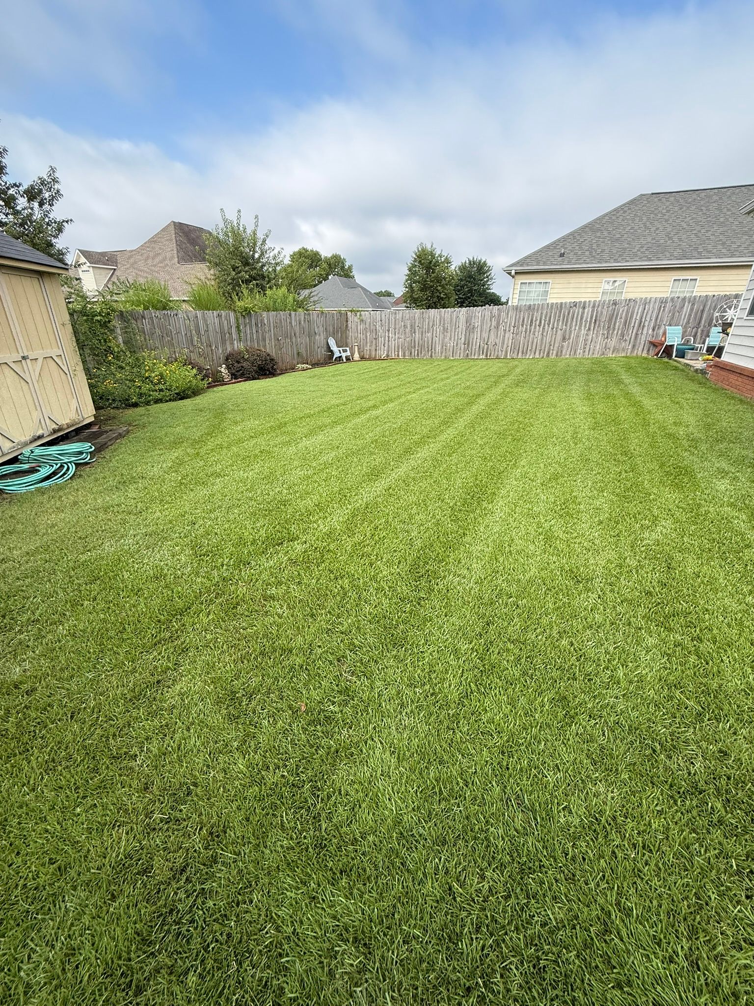 Green, well-manicured lawn in a backyard, wooden fence in the background, houses and cloudy sky.