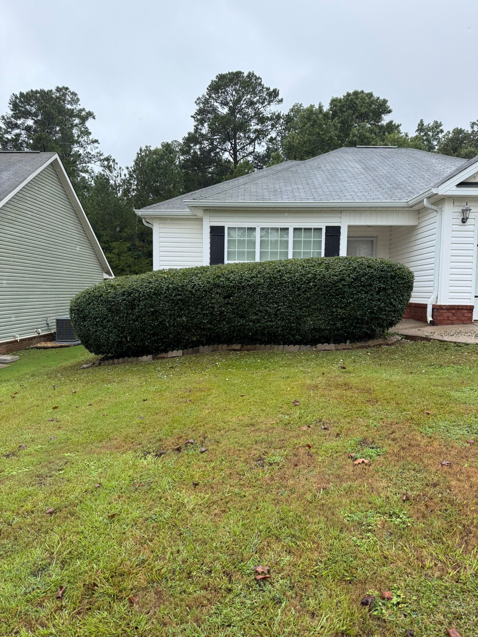 Green shrubbery in front of a white house with a gray roof, on a grassy lawn under an overcast sky.