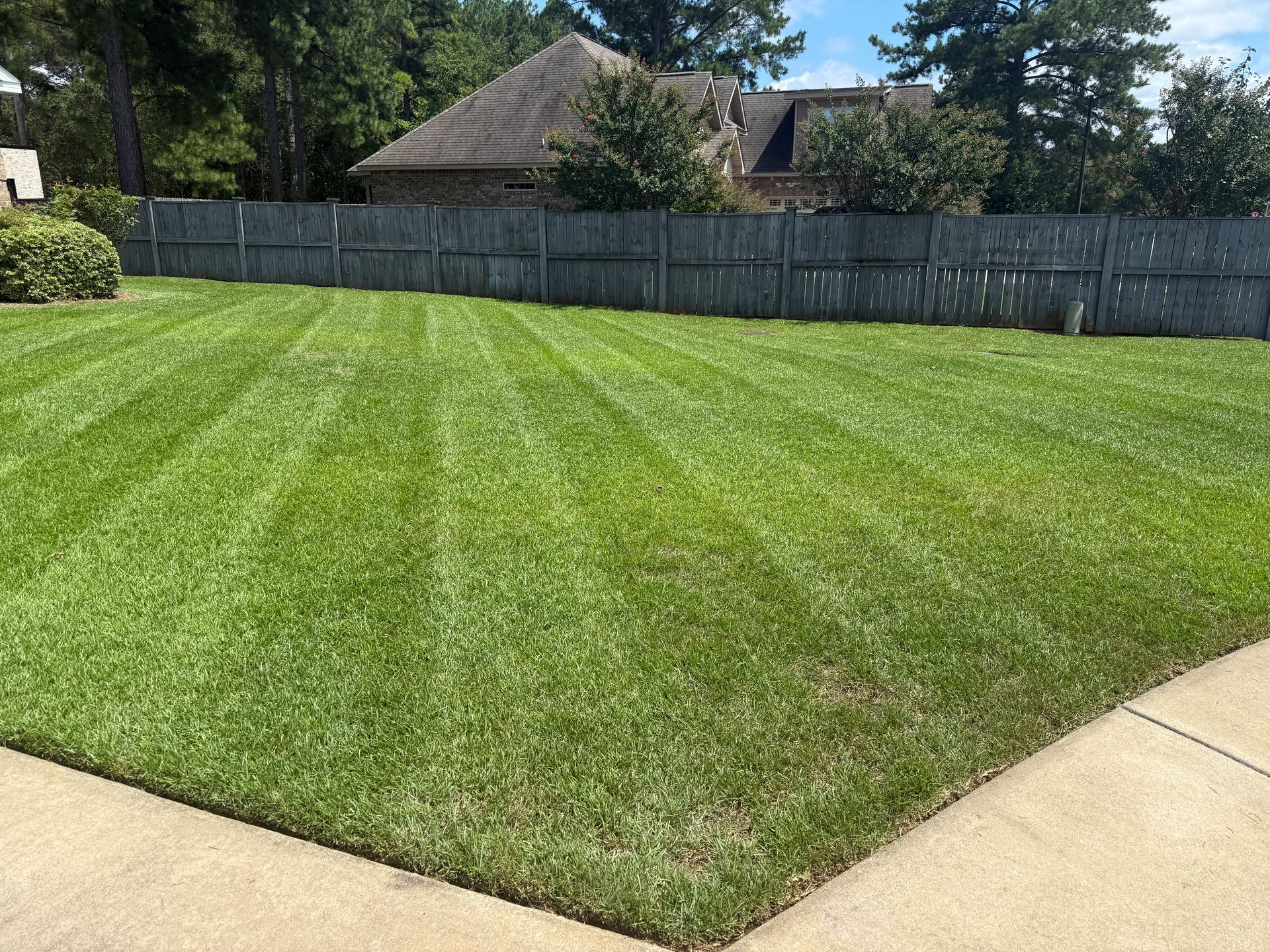 Well-manicured green lawn with stripes, bordered by a fence and a house.