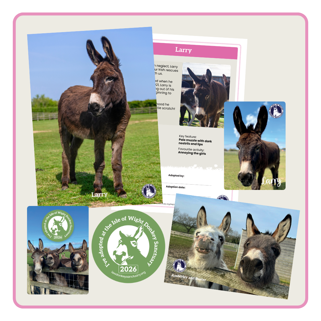 Adoption pack Here is the adoption pack you receive when you adopt a donkey, miniature donkey, pony, Shetland pony, or miniature Shetland pony at the Isle of Wight Donkey Sanctuary. You get a certificate, a printed newsletter and sometimes a gift catalogue.