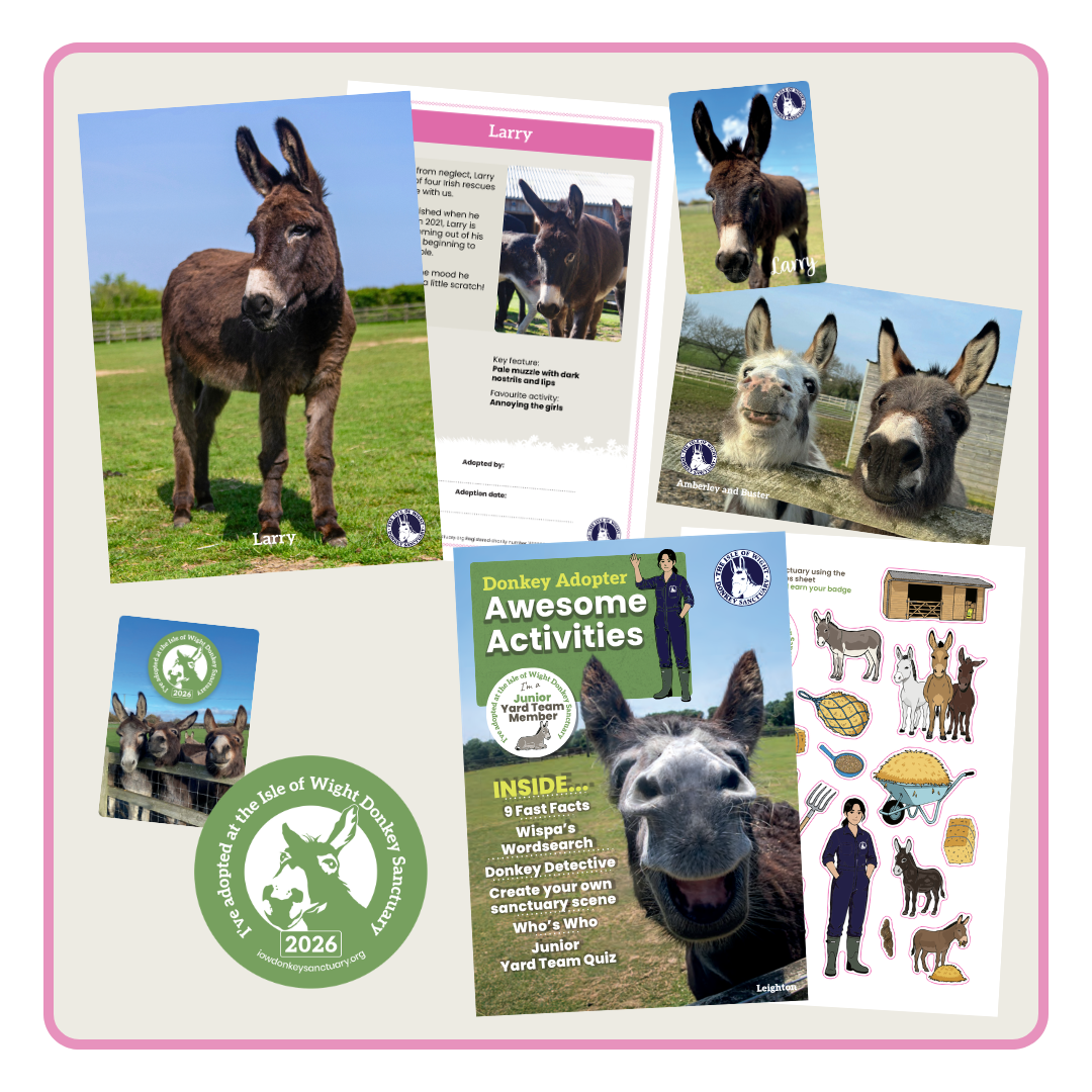 Here is the adoption pack you receive when you adopt a donkey, miniature donkey, pony, Shetland pony, or miniature Shetland pony at the Isle of Wight Donkey Sanctuary. You get a certificate, a printed newsletter and sometimes a gift catalogue.