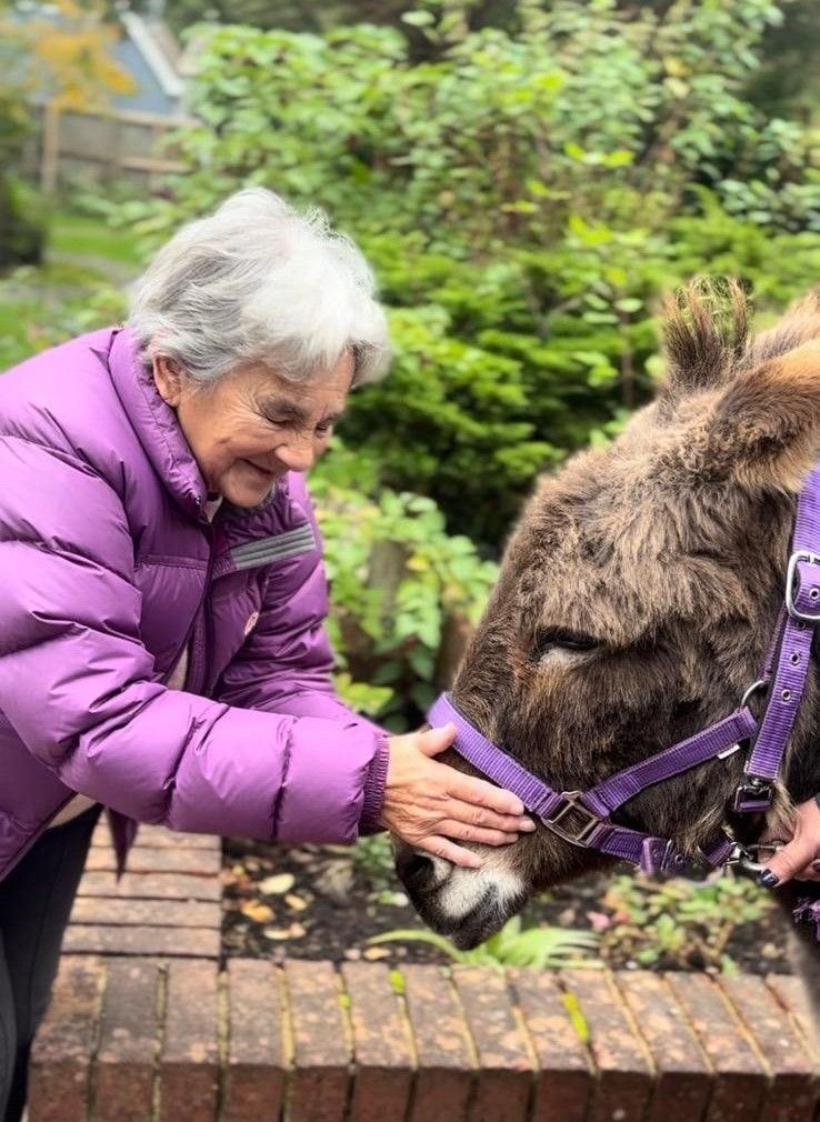Donkey Therapy A visit from the Isle of Wight Donkey Sanctuary to a special needs school where the residents are really enjoying donkey therapy