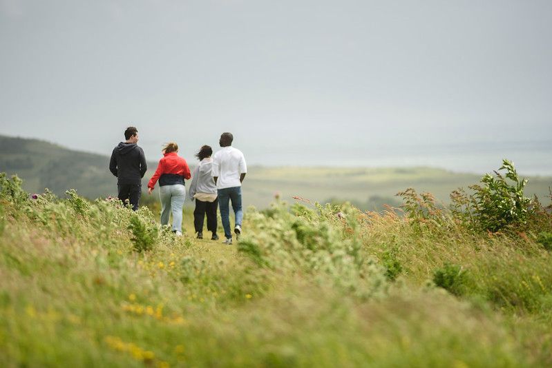 Four people walking through a grassy field towards a hazy horizon.