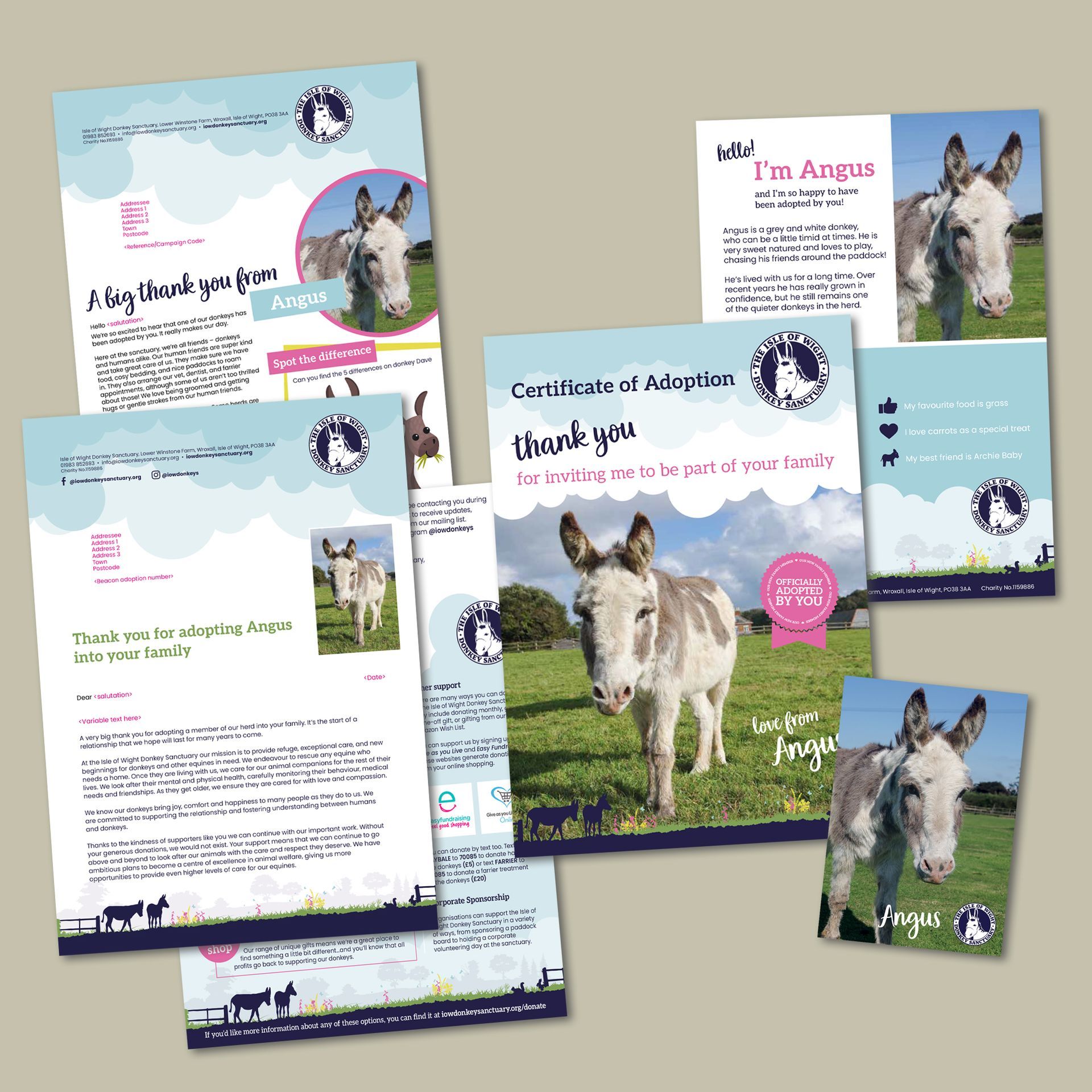 Here is the adoption pack you receive when you adopt a donkey, miniature donkey, pony, Shetland pony, or miniature Shetland pony at the Isle of Wight Donkey Sanctuary. You get a certificate, a printed newsletter and sometimes a gift catalogue.