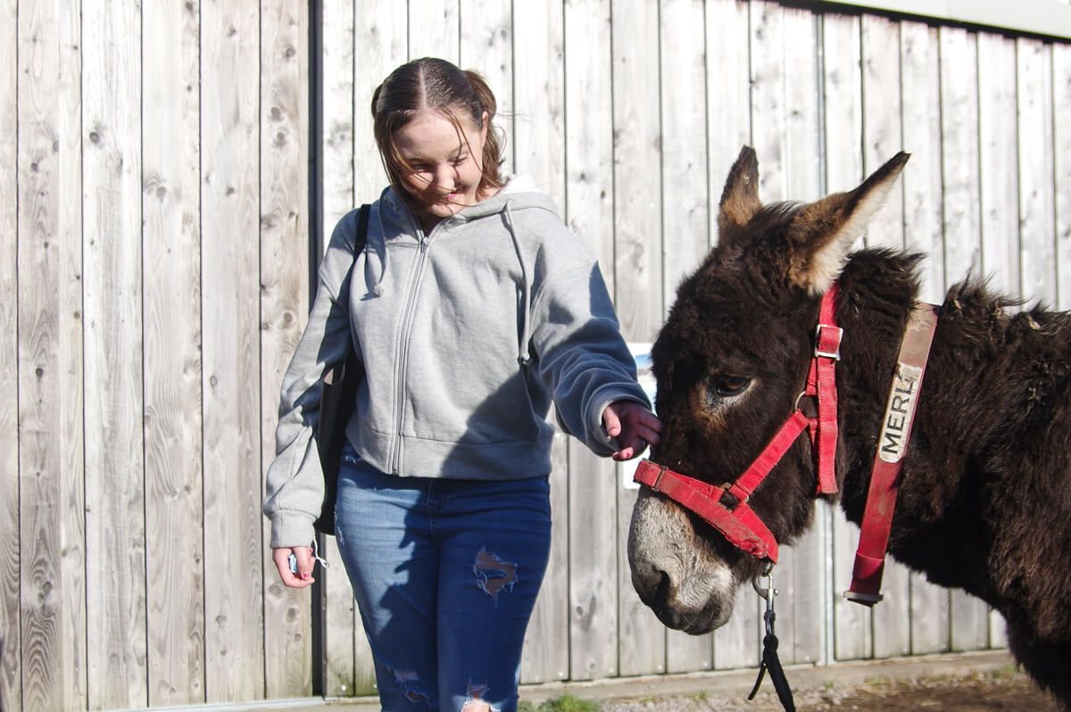 A girl standing next to a donkey outside a barn at the Isle of Wight Donkey Sanctuary