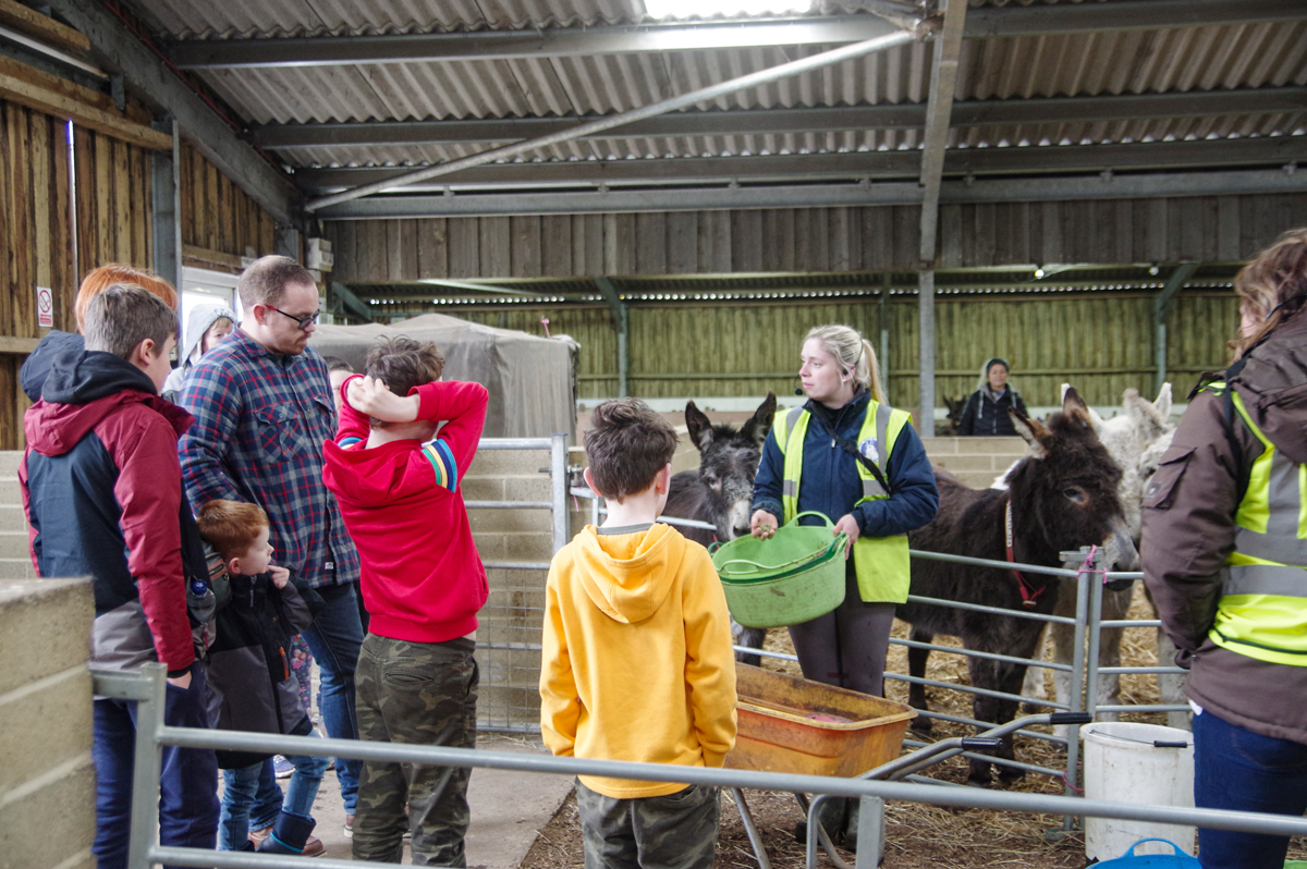 Group of people standing around an individual with donkeys in the background