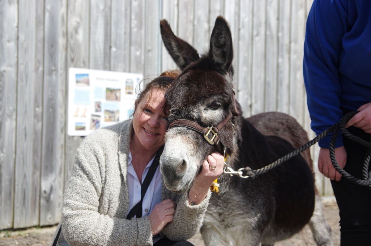 Lady cuddling a miniature donkey at the Isle of Wight Donkey Sanctuary