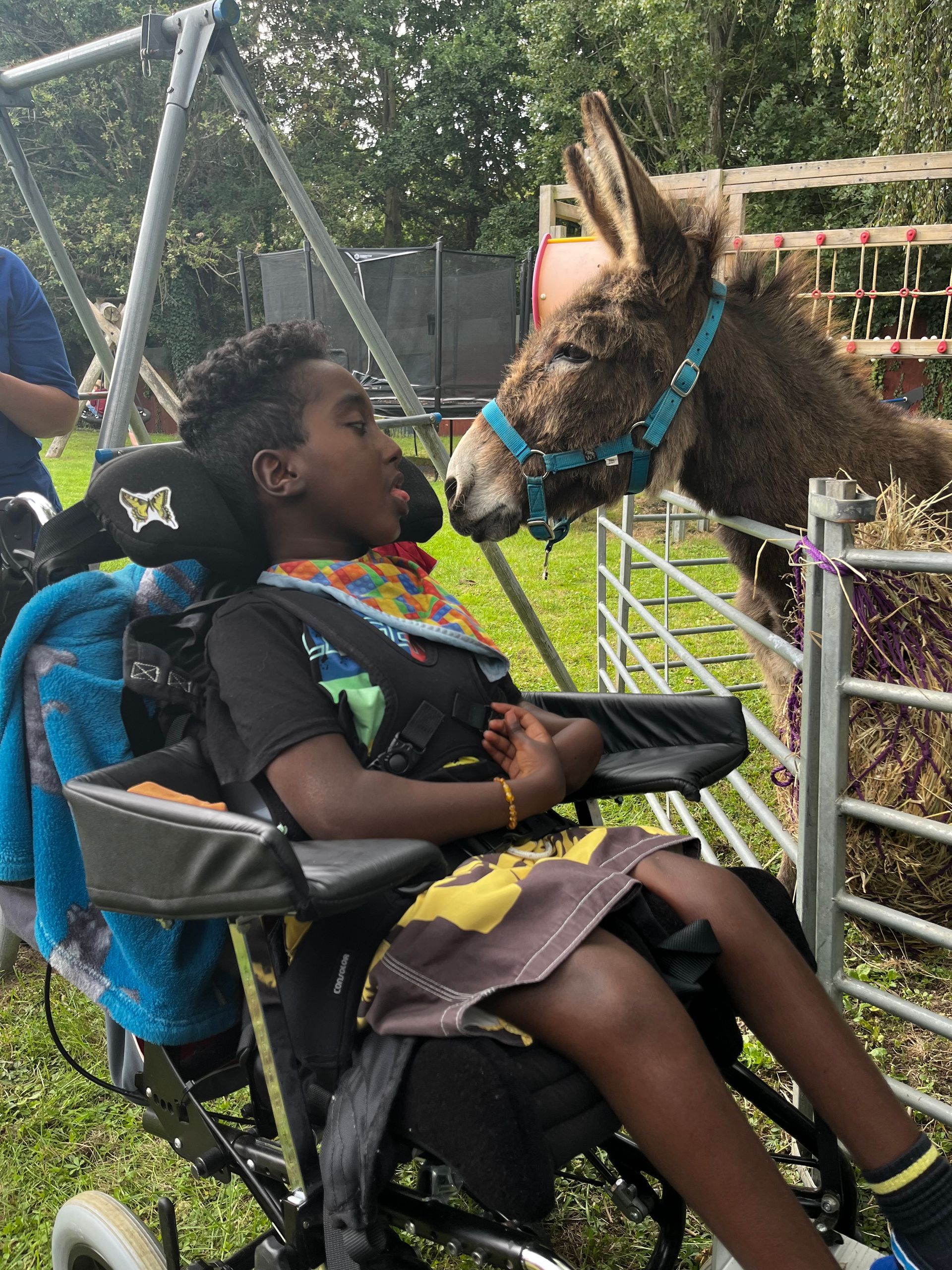 A visit from the Isle of Wight Donkey Sanctuary to a special needs school where the residents are really enjoying donkey therapy