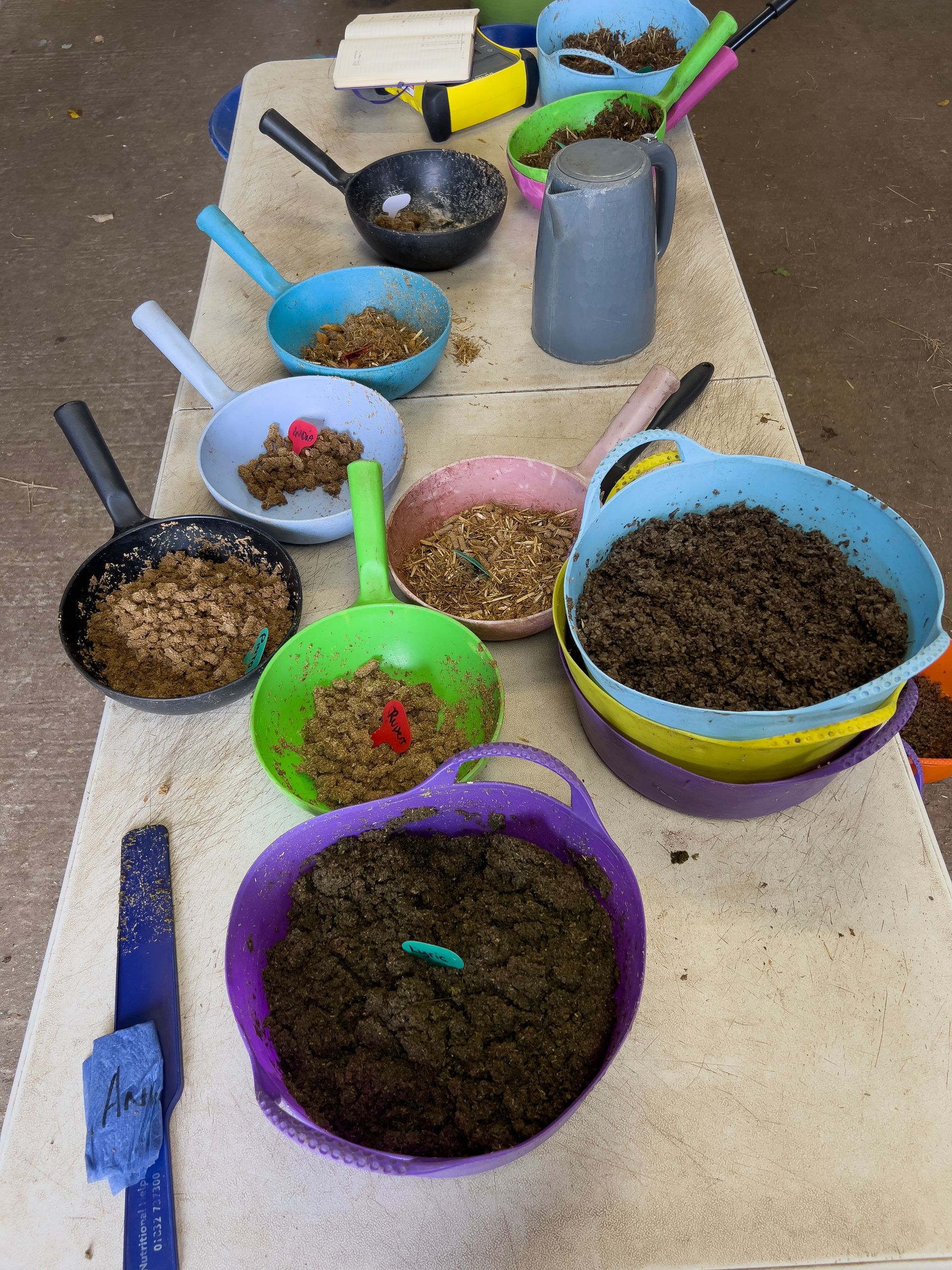 The tractor at the Isle of Wight Donkey Sanctuary works very hard every day to help move heavy objects, such a hay and straw bundles.