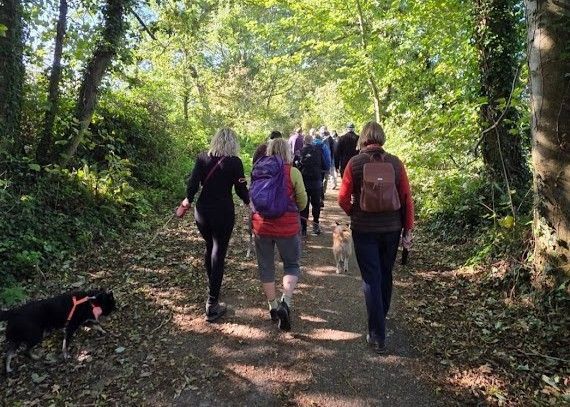 A group of people and a black and white dog walking down a footpath with green overhanging trees. 