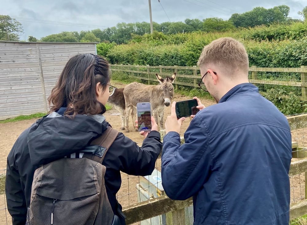 Two people looking at their phones with a donkey in the background