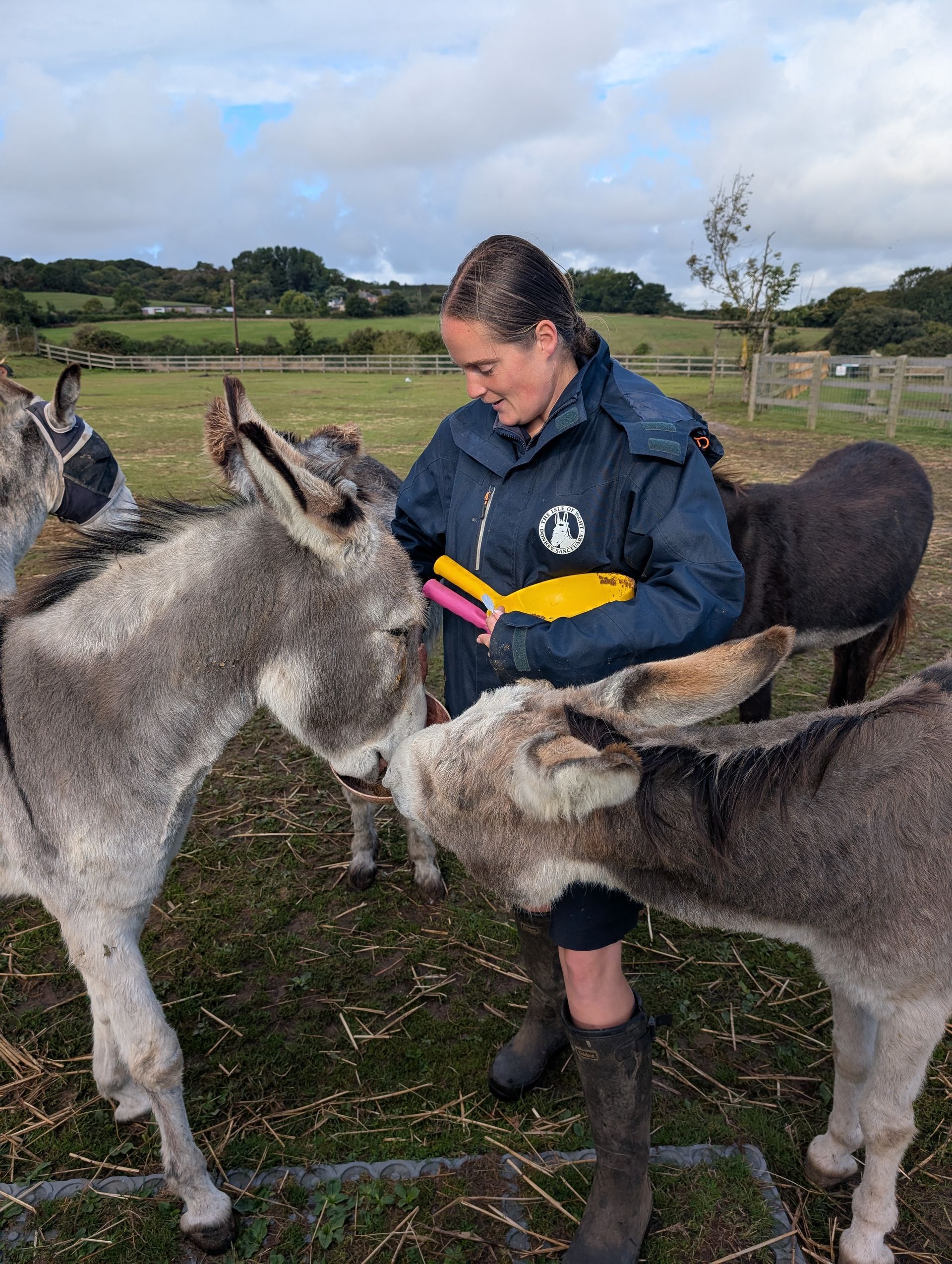Blakey likes to throw straw in the air when a new bundle arrives at the Isle of Wight Donkey Sanctuary!