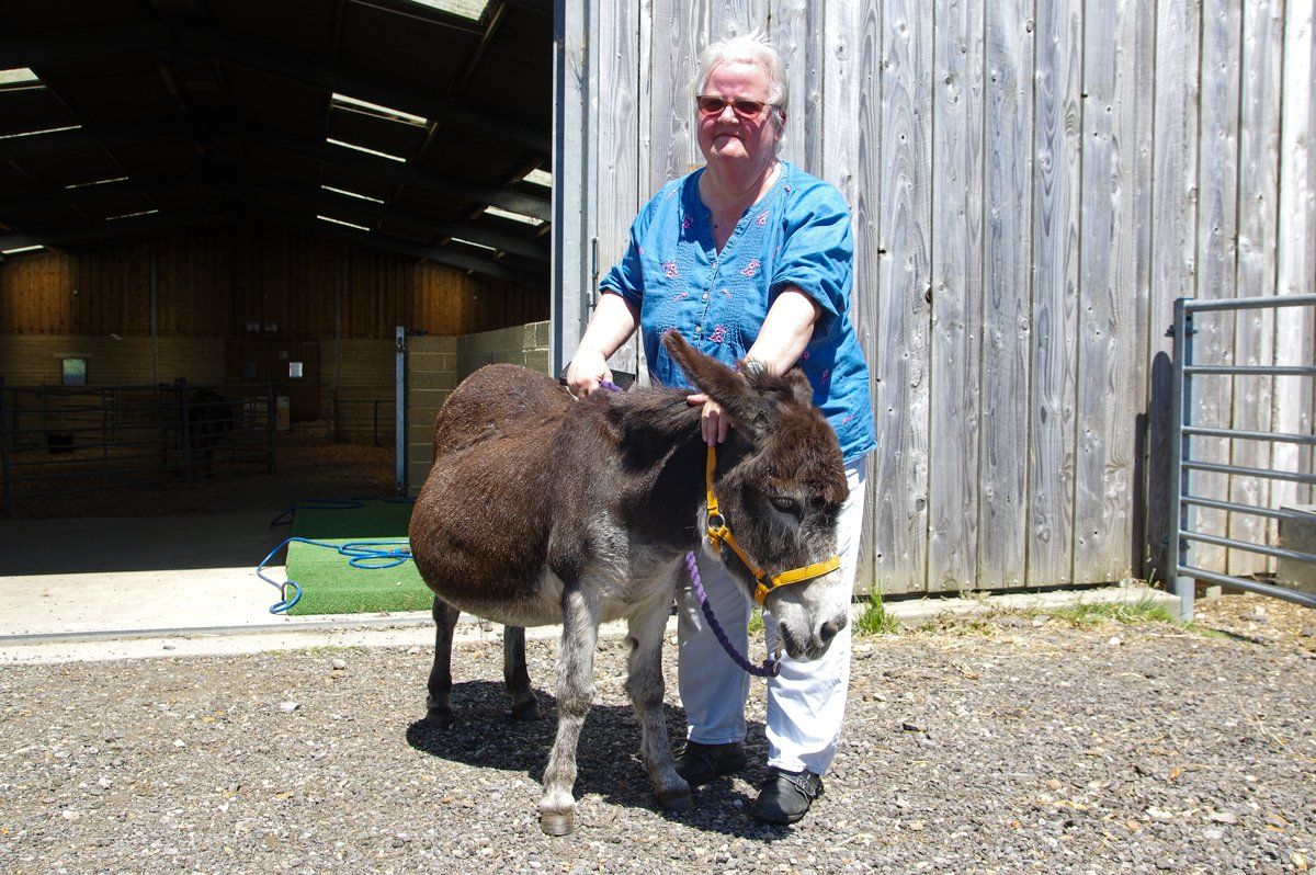 Woman standing in front of a barn with a donkey at the Isle of Wight Donkey Sanctuary