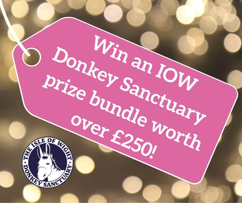 Pink tag promoting an Isle of Wight Donkey Sanctuary prize bundle worth over £250, with a blurry background.