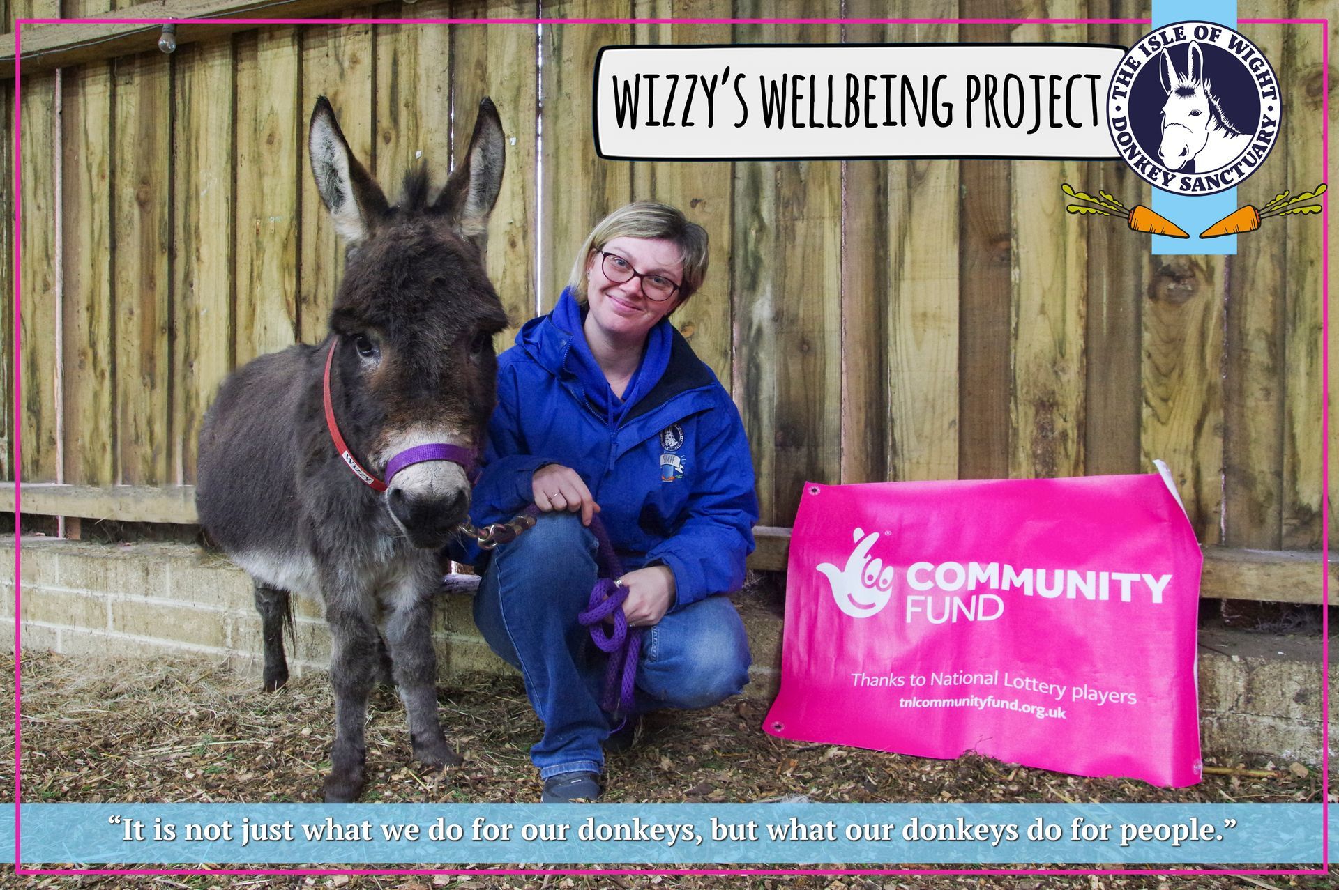 A miniature donkey with a staff member knelt next to them at the Isle of Wight Donkey Sanctuary
