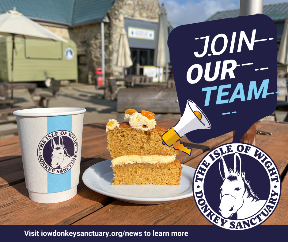 A cup and cake on a table in the courtyard outside of a cafe with the words join our team