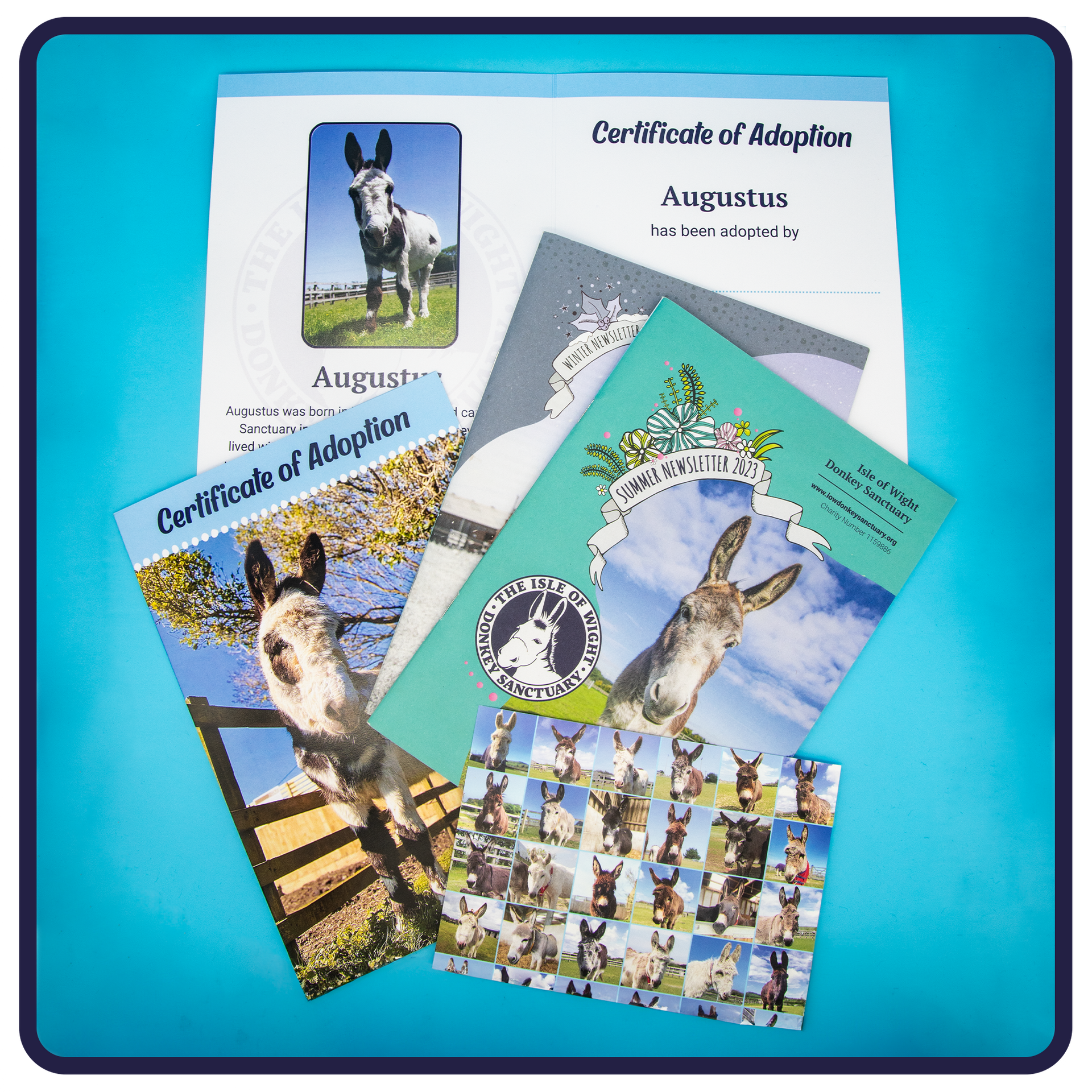 Here is the adoption pack you receive when you adopt a donkey, miniature donkey, pony, Shetland pony, or miniature Shetland pony at the Isle of Wight Donkey Sanctuary. You get a certificate, a printed newsletter and sometimes a gift catalogue.