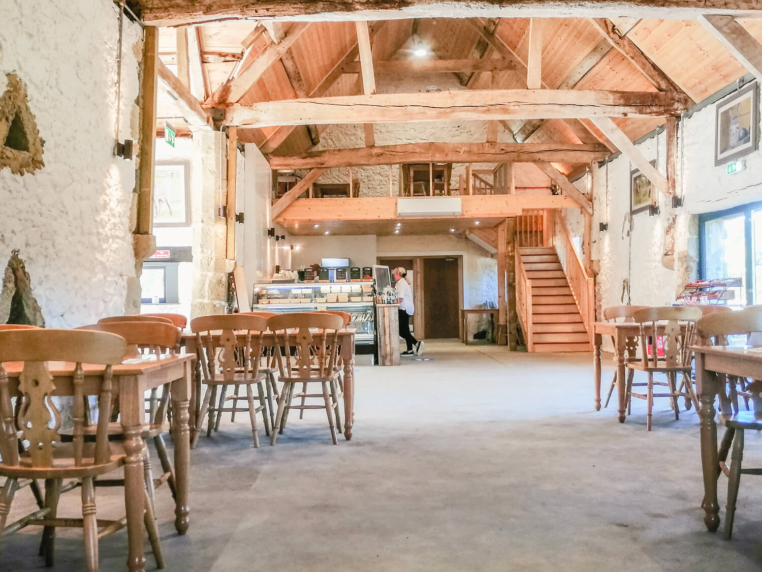After the barn conversion in Grazers Cafe at the Isle of Wight Donkey Sanctuary