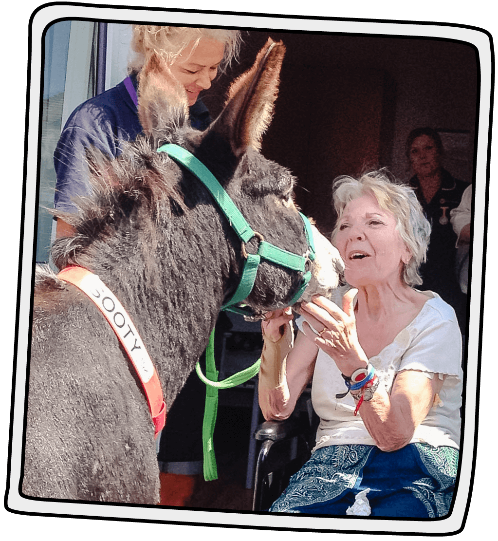 Our donkeys provide sensory experiences for residential homes or people with special needs