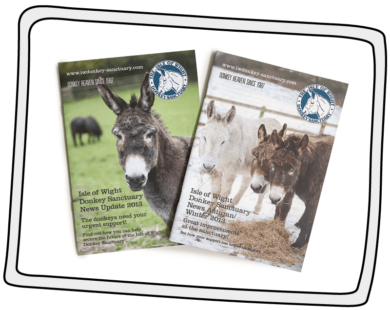 The Isle of Wight Donkey Sanctuary's first printed newsletter in 2013