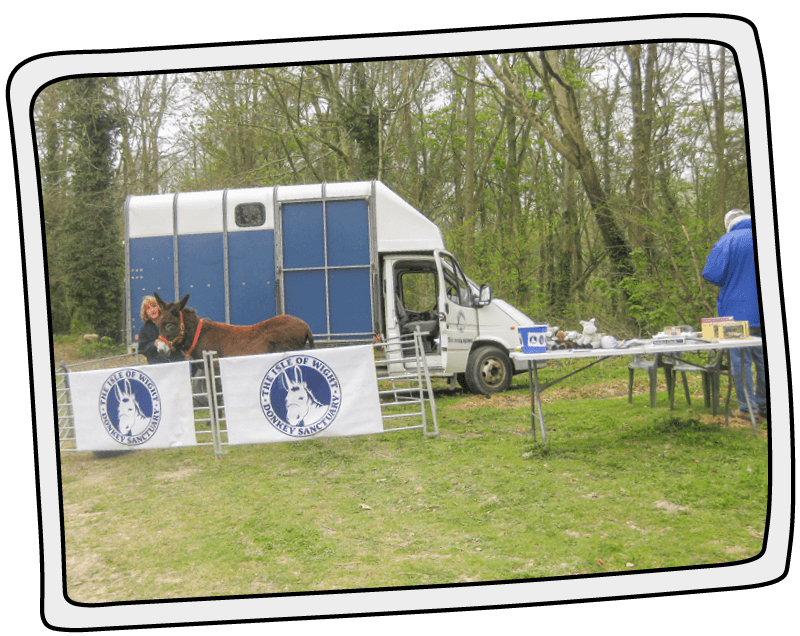 The Isle of Wight Donkey Sanctuary's first outreach visit in an old horsebox