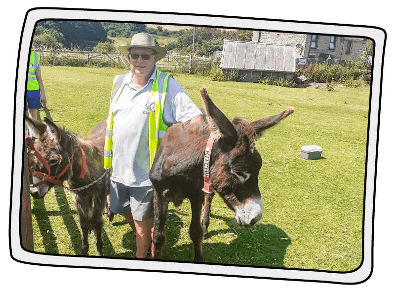 Our first volunteer at the Isle of Wight Donkey Sanctuary
