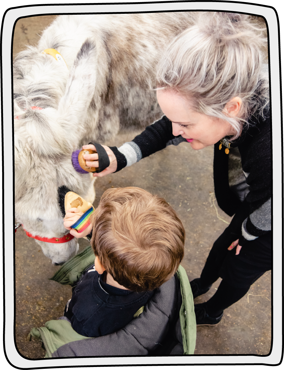 A mother and son grooming a donkey at the Isle of Wight Donkey Sanctuary