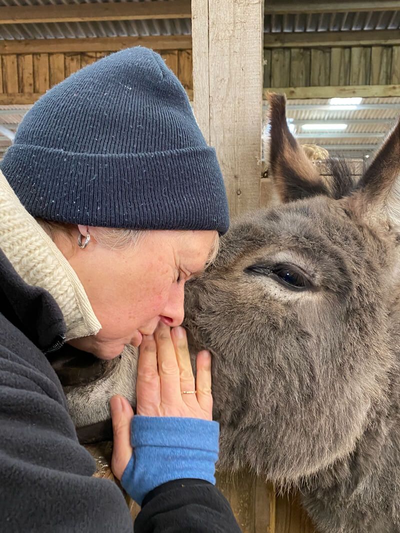 Super cute cuddles with a donkey at the Isle of Wight Donkey Sanctuary