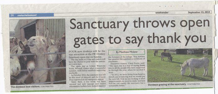 Newspaper article about how the Isle of Wight Donkey Sanctuary has suffered and is now on the mend